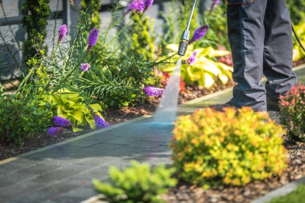 Trusted East Farmingdale, NY Pressure Washing Services Experts